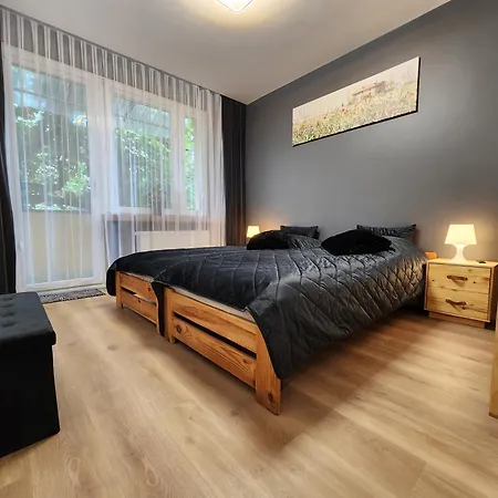 Grey Apartment Kraków-2